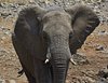 Namibia_Sep_2013 (146)
