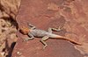 Namibia_Sep_2013 (80)
