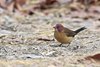 Namibia_Sep_2013 (174)