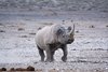 Namibia_Sep_2013 (103)
