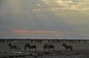 Namibia_Sep_2013 (108)