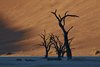 Namibia_Sep_2013 (24)