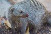 Namibia_Sep_2013 (205)