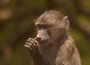 Namibia_Sep_2013 (200)