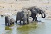 Namibia_Sep_2013 (144)