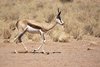 Namibia_Sep_2013 (15)