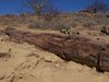 Namibia_Sep_2013 (87)