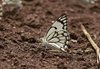 Namibia_Sep_2013 (201)