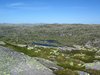 Ryfylkeheiene_2013 (64)