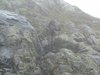 Ryfylkeheiene_2013 (19)