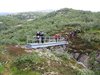 Ryfylkeheiene_2013 (23)