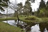 Rørbæk_Sø (31)