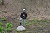 Rørbæk_Sø (28)