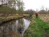 Rørbæk_Sø (32)