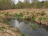 Rørbæk_Sø (34)