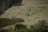 Rørbæk_Sø (21)