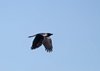 Paasken_2013 (61)