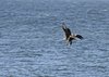 Paasken_2013 (38)