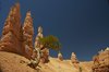 USA_2013 (72)