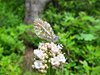 USA_2013 (193)