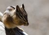 USA_2013 (114)