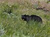 USA_2013 (165)