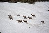 USA_2013 (195)