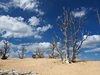 USA_2013 (80)
