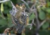 USA_2013 (117)
