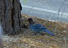 USA_2013 (23)