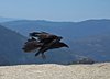 USA_2013 (32)