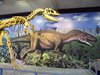 USA_2013 (103)