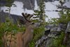 USA_2013 (198)