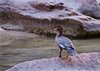 USA_2013 (56)