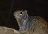 USA_2013 (57)