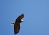 USA_2013 (238)