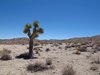USA_2013 (39)
