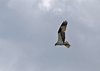 USA_2013 (118)