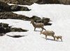 USA_2013 (194)
