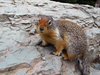 USA_2013 (201)