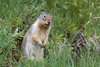 USA_2013 (196)