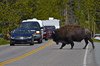 USA_2013 (144)
