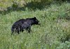 USA_2013 (166)