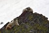 USA_2013 (219)