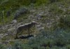 USA_2013 (145)