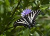 USA_2013 (191)