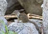 USA_2013 (22)