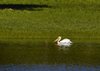 USA_2013 (143)