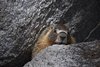 USA_2013 (34)