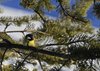 Venabu_2013 (26)